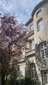 a building with a tree in front of it at 4m high apartment in heart of Warsaw! in Warsaw