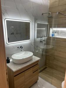 een badkamer met een wastafel en een douche bij The Riverview in Florina