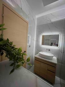 a bathroom with a sink and a mirror and a plant at The Riverview in Florina
