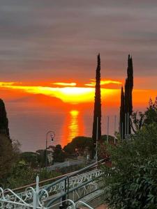 Landskap semula jadi dekat dengan apartmen