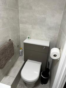 uma casa de banho com um WC e um rolo de papel higiénico em The Hay Loft em Helston