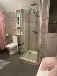 a bathroom with a shower and a toilet at Ferienwohnung „ Hospitalhütte“ in Dahlen
