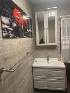 a bathroom with a sink and a mirror at Ferienwohnung „ Hospitalhütte“ in Dahlen