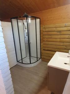 a glass shower in a room with a sink at LA LANDAISE in Sainte-Eulalie-en-Born