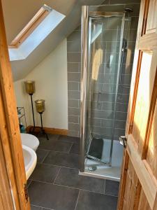 uma casa de banho com um chuveiro e um WC. em The Loft @ Kildare Village em Kildare