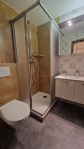 La salle de bains est pourvue d'une douche, de toilettes et d'un lavabo. dans l'établissement Gästehaus Meng, à Bad Krozingen