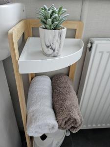 a plant in a pot on a shelf in a bathroom at Forest Getaway, sleeps 6 at Bashley, leisure PASS included in New Milton