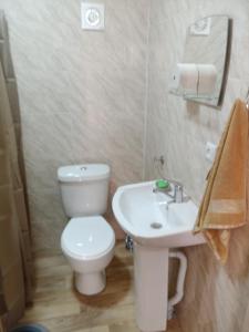 Een badkamer bij Hotel sauna