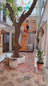 a building with a tree in the middle of a hallway at Casa Oro Eco Hostel in San Juan del Sur