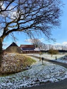 B&B Kuiper in Friesland v zimě