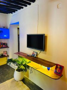 a television on a wall with a potted plant at Four Seasons in Stone Town