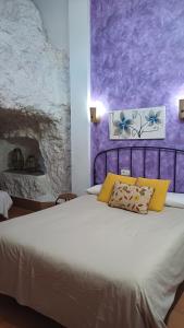阿爾卡拉胡卡的住宿－Casas Alcala，一间卧室配有一张紫色墙壁的床