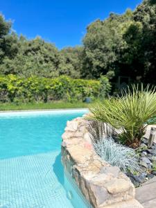 una piscina con una pared de piedra y algunas plantas en CHAMBRE d'Hôtes avec PISCINE & KITCHENETTE en Saint-Geniès-des-Mourgues