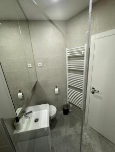 uma casa de banho com um WC branco e um lavatório. em Apartma Tisa Bohinj em Bohinj