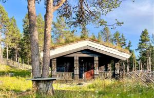 an old house with a grass roof and a tree at Stunning Home In Kvam With Wifi in Kvam +20 photos