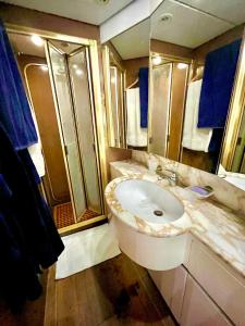 La salle de bains est pourvue d'un lavabo et d'un miroir. dans l'établissement Yacht Marseille, à Marseille
