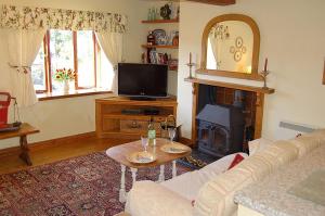 a living room with a fireplace and a tv at Tre-Allt Gorgeous Cottage in Dolgellau