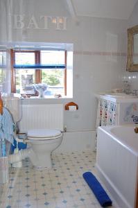 a bathroom with a toilet and a tub and a sink at Tre-Allt Gorgeous Cottage in Dolgellau +40 photos