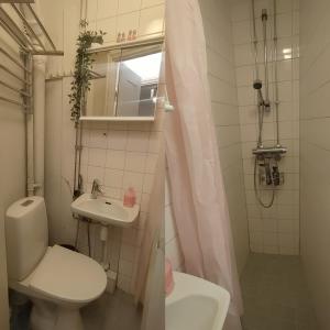 ein kleines Bad mit WC und Waschbecken in der Unterkunft Finland, Helsinki center in Helsinki