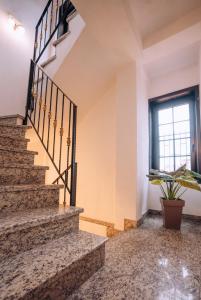 a staircase in a house with a potted plant at Lihnidos Square in Ohrid