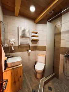 a bathroom with a toilet and a sink at Hotel Borjomi Verde in Borjomi