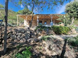 a house with a stone wall in front of it at Casa nel Bosco, un oasi di pace in Seccheto