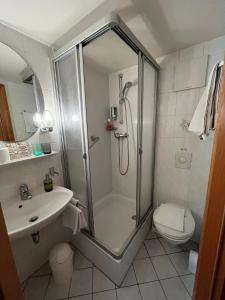 y baño con ducha, aseo y lavamanos. en Landgasthaus waldhorn, en Forbach
