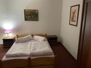 ein kleines Schlafzimmer mit einem Bett und einer Lampe in der Unterkunft Villa Maruška Kladská in Marienbad