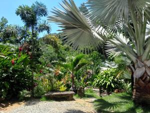 a garden with palm trees and a bench at Loft 01 encanto dos ipês in Paraty