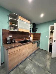 a kitchen with wooden cabinets and a sink at Relaxen im Weindorf Mayschoß Fewo 3 in Mayschoß