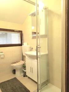 チャテジ・オプ・サヴィにあるSunny Homeのバスルーム(トイレ、洗面台、シャワー付)