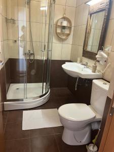 a bathroom with a shower and a toilet and a sink at Grand resort luxury apartment in Pamporovo