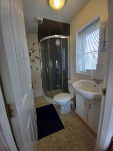 a bathroom with a shower and a toilet and a sink at Turners Escape in Dinnington