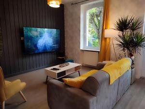 TV a/nebo společenská místnost v ubytování Villa Garona avec billard proche Pyrénées