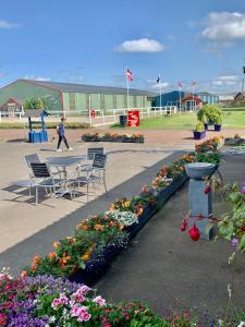 een tafel en stoelen in een park met bloemen bij Scottish Equi B&B in Lanark