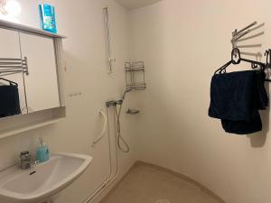 a bathroom with a sink and a shower and a mirror at LHM in Borås