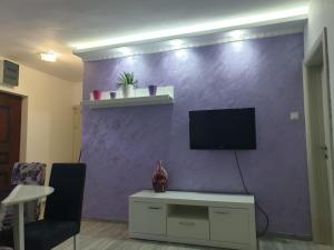 ŠkaljariにあるApartment Sea Viewのギャラリーの写真