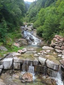 una cascata in un fiume con rocce e alberi di Residenza Le Fontane a Ceppo Morelli