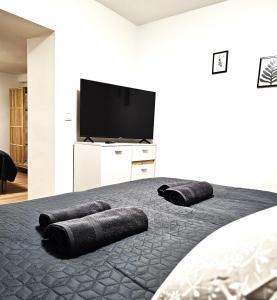 1 dormitorio con 1 cama y TV de pantalla plana en revLIVING Apartments Gars am Kamp, en Gars am Kamp