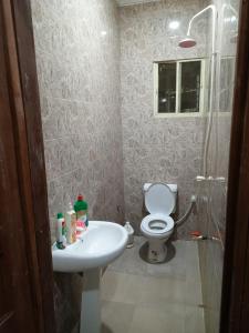 a bathroom with a toilet and a sink and a shower at Treasure Apartment in Lagos
