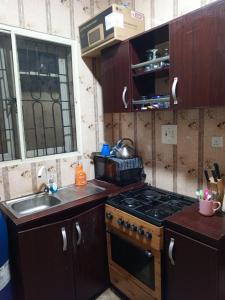cocina con fogones y fregadero en Treasure Apartment en Lagos