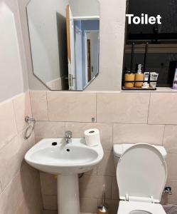 a bathroom with a toilet and a sink and a mirror at GoldenWays Apartment 3 in Mbabane