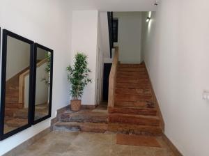 a staircase with a mirror and a potted plant at Alojamiento Oviedo 1 in Oviedo