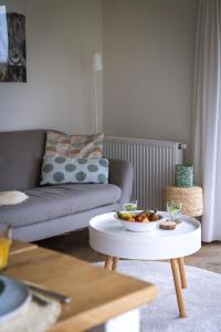 een woonkamer met een bank en een salontafel bij Buitenlede 7 - Suite M in Dwingeloo