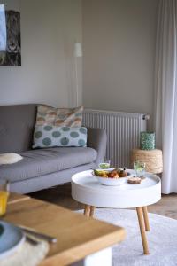 a living room with a couch and a coffee table at Buitenlede 7 - Suite M in Dwingeloo