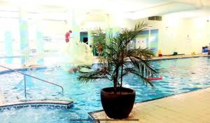 a potted plant in a swimming pool with a fountain at Morning side in Skegness