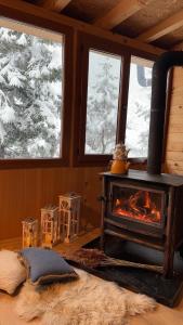 a living room with a fireplace and snow covered trees at Ayder Villa Gencal in Ayder Yaylasi