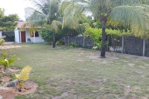 a yard with two palm trees and a fence at Chalé D'maré in São Miguel dos Milagres