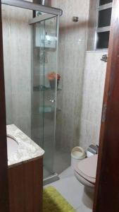 里約熱內盧的住宿－Apartamento Morro Da Urca，一间带卫生间和玻璃淋浴间的浴室