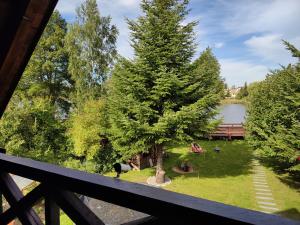 a view of a park with a tree and a lake at LAZARÓWKA - RYBNO in Rybno